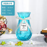 神瓶八玻玻璃花瓶摆件家用玻璃瓶客厅透明创意插花瓶家居欧式小清新水培瓶 18折纸南瓜天蓝