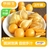 京鲜生东北特产姑娘果 净重2斤装 黄姑娘果菇娘果灯笼果源头直发包邮