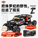 迈卡仑合金遥控越野攀爬车儿童玩具真六轮六驱玩具男孩6-12岁生日礼物