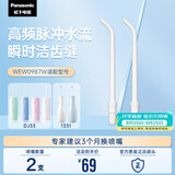 松下（Panasonic）高频脉冲水流喷嘴冲洗残渣 适用于小圆管1331/DJ33  2支装WEW0987W405