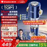 惠尔顿前置过滤器20T大通量过滤25微米反冲洗家用全屋净水器 实时自动清洗刮洗自来水防爆过滤器P0038pro 上门安装【20T-升级25微米精滤】