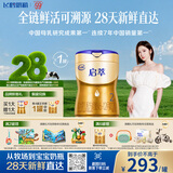 飞鹤启萃2段婴儿配方奶粉(6-12月)750g 8种HMOs 益生菌 28天新鲜