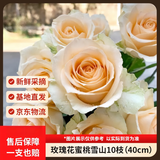 京东鲜花玫瑰花蜜桃雪山10枝山东基地香槟玫瑰毕业季鲜花山东基地源头直发