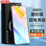 惠舟 vivo x70钢化膜防窥膜vivoX70t手机膜水凝防偷窥膜全屏覆盖高清抗蓝光防爆镜头保护膜 全透明电竞磨砂膜*2片装