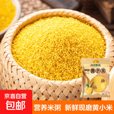 精选黄小米 油小米 月子米黄米粟米杂粮山西特产当季新米 黄小米5斤
