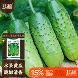 北蔬水果黄瓜种子苗青瓜盆栽秋冬菜籽 卓脆潍胖二号水果黄瓜种子100粒