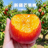 想妮食养新疆沙王油桃 库尔勒芒果桃 新疆油桃新鲜水果 桃子应季水果 4斤大果150-200g