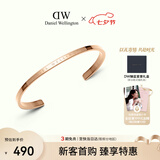 丹尼尔惠灵顿（DanielWellington）dw手镯女经典玫瑰金大号手镯情侣款DW001生日礼物送女友