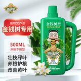 德沃多肥料金钱树植物营养液500ml园艺绿植花肥料盆栽花卉叶面肥绿叶液体肥