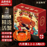 【活蟹】漁家师傅大闸蟹2.2-2.5两6只六月黄去绳足重鲜活螃蟹现货生鲜水产礼盒中秋送礼