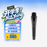 iSK E300手持48v电容麦克风专业抗干扰音头高灵敏收音手机电脑声卡直播唱歌喊麦录音话筒 黑白色随机