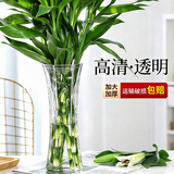优艺菲透明玻璃花瓶简约加高贵竹百合水培绿萝植物富花瓶客厅插花摆件 加高30cm六角（竹叶图案）