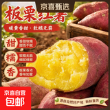 正宗板栗红薯新鲜沙地鸡蛋黄心蜜薯无丝地瓜早餐粗粮代餐宝宝辅食 新鲜板栗红薯 中小果（1两-3两） 5斤含箱【划算】