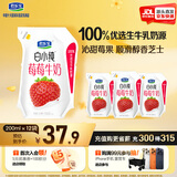君乐宝白小纯莓莓牛奶200ml*12壶草莓味牛奶 源头直发 包邮