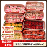 京东鲜花随机色系玫瑰30枝40cm(2-3配色)新鲜现采送礼物悦己源头直发