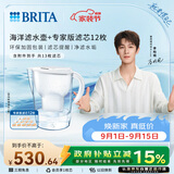 碧然德（BRITA）过滤净水器 家用滤水壶 净水壶 Marella 海洋系列白+专家版滤芯12枚（含附件）