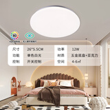 雷士（NVC）led吸顶灯12W白光 简约现代灯具卧室灯入户灯过道灯厨房灯阳台灯