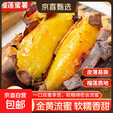 现挖沙地蜜薯红薯新鲜农家糖心番薯烤地瓜软糯批发黄心包邮 正宗榴莲蜜薯5斤净重