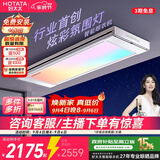 好太太（Hotata）光影电动晾衣架智能隐形超薄阳台离线语音升降晾衣杆T30Pro-ZL