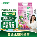 十月稻田 香稻贡米5kg 寿司香米 东北大米10斤 团购福利 年货送礼