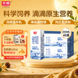 光明纯牛奶200ml*24盒*2箱优质乳蛋白早餐奶家庭分享装整箱中秋送礼