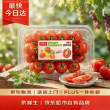 京鲜生 车厘串茄（樱桃番茄） 净重1.5斤装 单果4g+ 生鲜水果