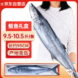 云储生活海捕特大鲅鱼冷冻马鲛鱼整条礼盒净重9.5-10.5斤/条源头直发包邮