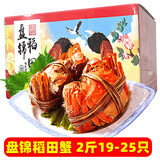 【活蟹】网兜蟹辽宁盘锦河蟹稻田河蟹礼盒螃蟹鲜活大闸蟹原生带泥 全母蟹丨0.8-1.1两【2斤】19-25只净重