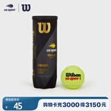 Wilson威尔胜美网公开赛官方男子比赛用球罐装3颗装【球身数字随机】