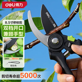 得力修枝剪刀树枝剪 SK5钢双档开口果树剪花枝剪盆栽花卉园艺修枝神器