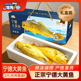 海角7号冷冻宁德黄鱼礼盒净重2斤/2条鱼生鲜鱼类源头直发中秋礼盒礼品