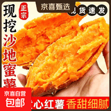 现挖沙地蜜薯红薯新鲜农家糖心番薯烤地瓜软糯批发黄心包邮 沙地蜜薯4斤装中小果 含箱