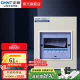 正泰（CHNT）家用配电箱PZ30暗装强电箱 空开箱铁箱厚布线箱  照明箱 6回路 暗装