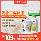 立邦墙面修复补墙膏荷净补墙漆防水防霉抗菌腻子膏白色 500g+2.5kg