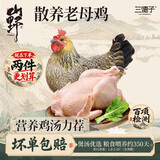 三德子好甄选散养壮年老母鸡 净重1.8-2.4斤 350天左右土鸡肉生鲜月子鸡汤