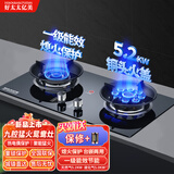 好太太亿美燃气灶双灶煤气灶家用鸳鸯灶台式嵌入式猛火炉具炉盘 猛火鸳鸯灶+防风聚能+钢化玻璃 瓶装液化气5.0KW
