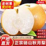 京地达秋月梨砀山蜜梨香梨梨子新鲜水果净重4.8斤单果300g+源头直发包邮