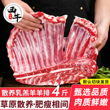 西牛优选羊肉 生鲜新鲜现杀半只羊套餐羊排蝎子烧烤火锅食材年货礼盒 羊排4斤