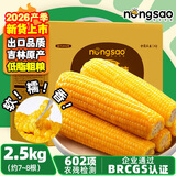 东北农嫂糯玉米穗 糯玉米段 软糯香 吉林原产 真空玉米 低脂粗粮 【精选大棒】黄糯玉米礼盒2.5kg 约8根