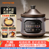 九阳（Joyoung）电炖锅电炖盅4L大容量紫砂预约电砂锅 多功能锅 智能定时精炖煮粥煲汤锅DG40K-GD408
