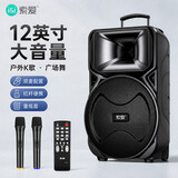 索爱（soaiy）12吋广场舞音响大功率便携式户外重低音蓝牙k歌专用大音量移动拉杆音箱室外演出设备双麦A89WM  