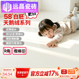 远晶800x800天鹅绒瓷砖58度超白胚客厅地砖卫生间厨房墙砖奶油风广东 58°超白胚-柔光天鹅绒-奶白 800x800