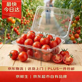 京鲜生 千禧水果小番茄/圣女果 净重2斤 生鲜水果 