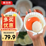 富海锦鲜汁半壳虾夷扇贝540g 8-10只无沙火锅烧烤食材 海鲜生鲜贝类送礼