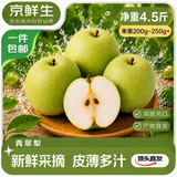 京鲜生安徽砀山青翠梨 净重4.5斤 单果200-250g+ 新鲜水果 源头直发