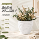 芷郁塑料加厚碗莲盆古法鱼缸大号造景养鱼水培睡莲盆缸32cm石英白
