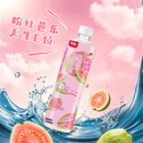 界界乐消消乳 芭乐味 乳酸菌风味果蔬汁饮品 500ml*6瓶 中秋送礼分享装