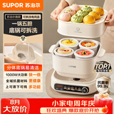 苏泊尔（SUPOR）电炖锅 煲汤锅电炖盅隔水炖辅食陶瓷燕窝家用全自动多功能锅蒸炖一体2.5L分体可拆新款DZ25YC889