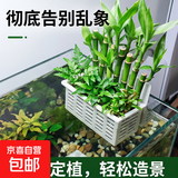 【活动】新款鱼缸水培植物篮水草种植杯壁挂式挺水植物鱼缸定植篮 水培植物篮：【壁挂式】便捷安装 1个装