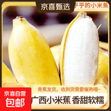 广西网红小米蕉青香蕉发货密封放熟吃新鲜水果皮薄肉厚 带箱2斤青蕉发货